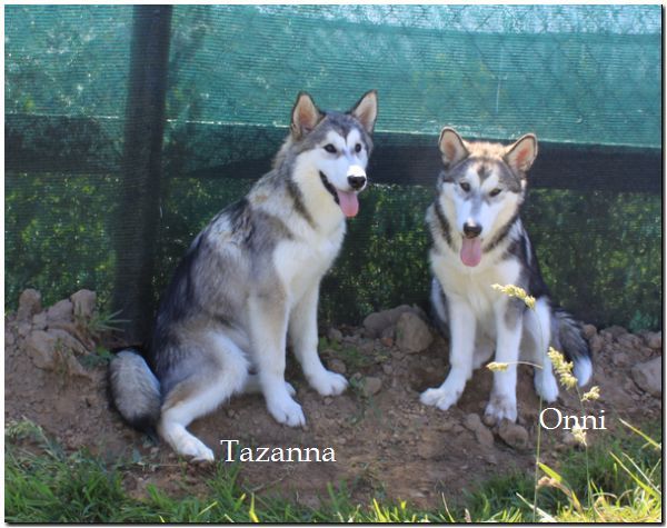 Tazanna 7-2010 5.jpg